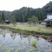 大分県竹田市, 嚶鳴(おうめい)フォーラムからグローカリズム