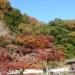 竹田のおたやま公園の紅葉を満喫