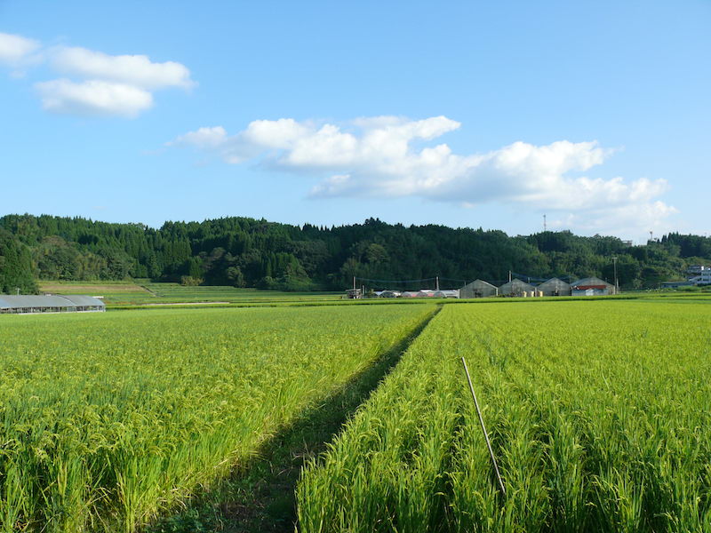 學美(まなび)リズムに対話する